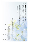 年賀状画像